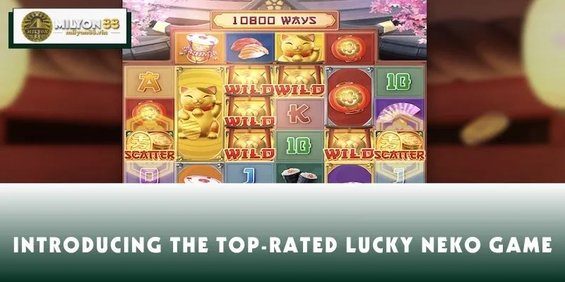 Introducing the top-rated Lucky Neko game