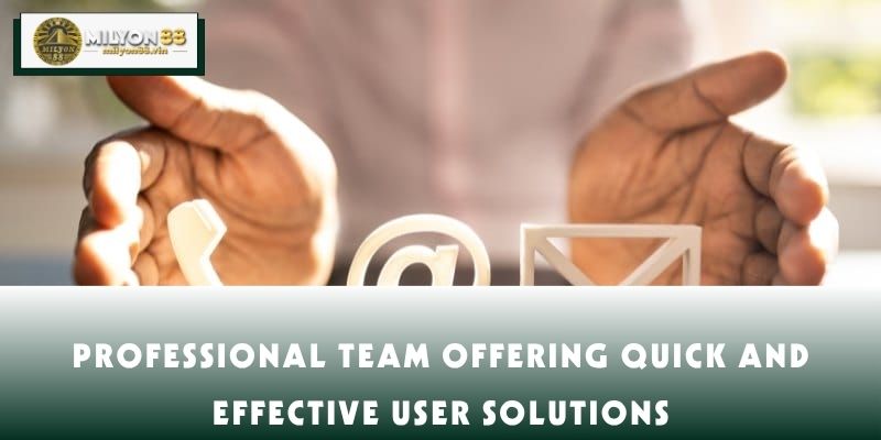 Professional team offering quick and effective user solutions