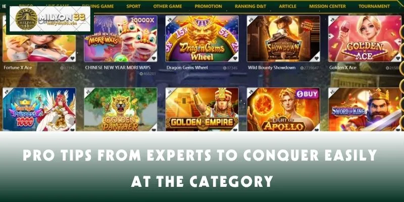 Pro Tips from Experts to Conquer Easily at the category