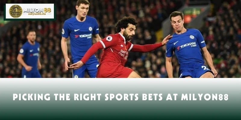 Picking the Right Sports Bets at MILYON88