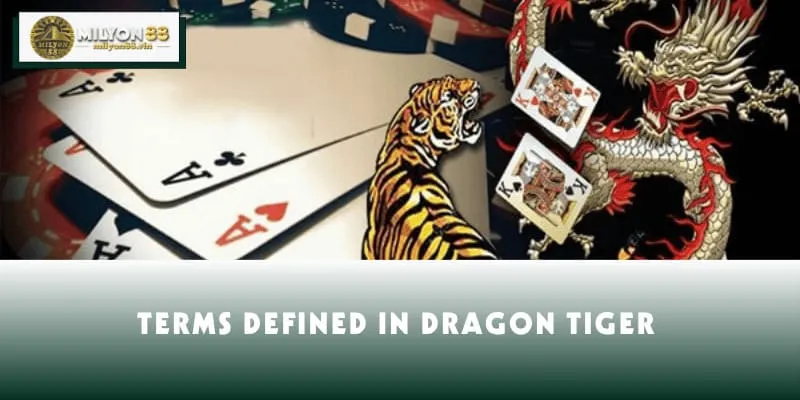 Terms defined in Dragon Tiger